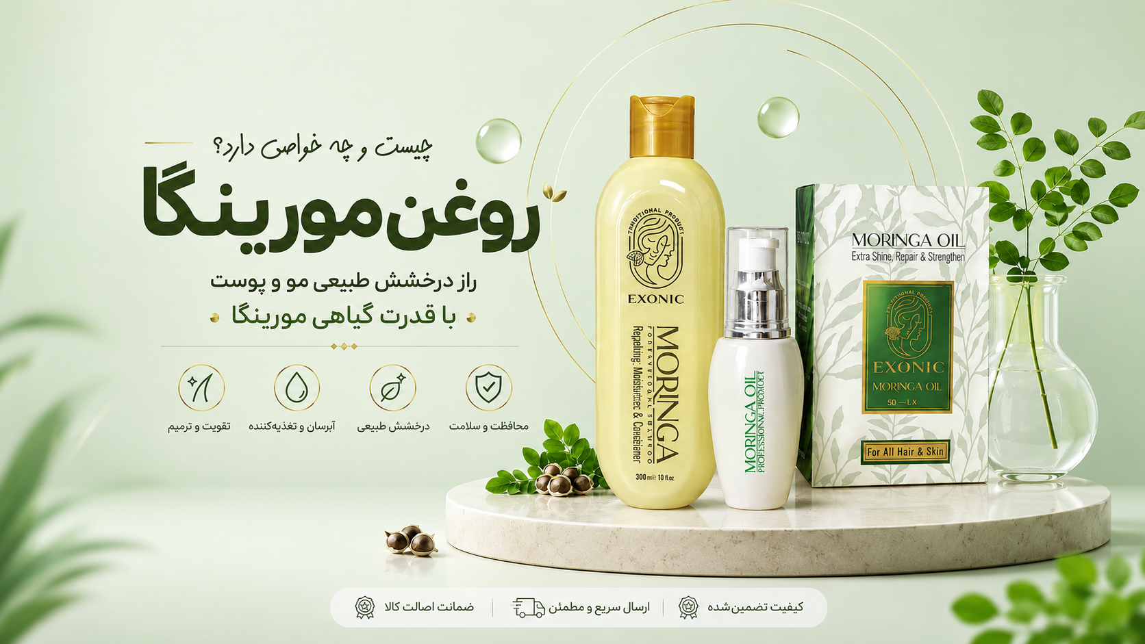 روغن مورینگا چیست؟ بررسی خواص، کاربرد ها و روش استفاده برای مو و پوست