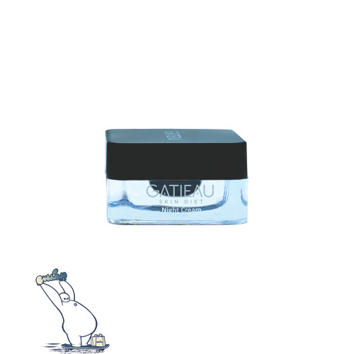 خرید کرم شب گاتیو | کنترل چربی، آبرسان و بازساز پوست