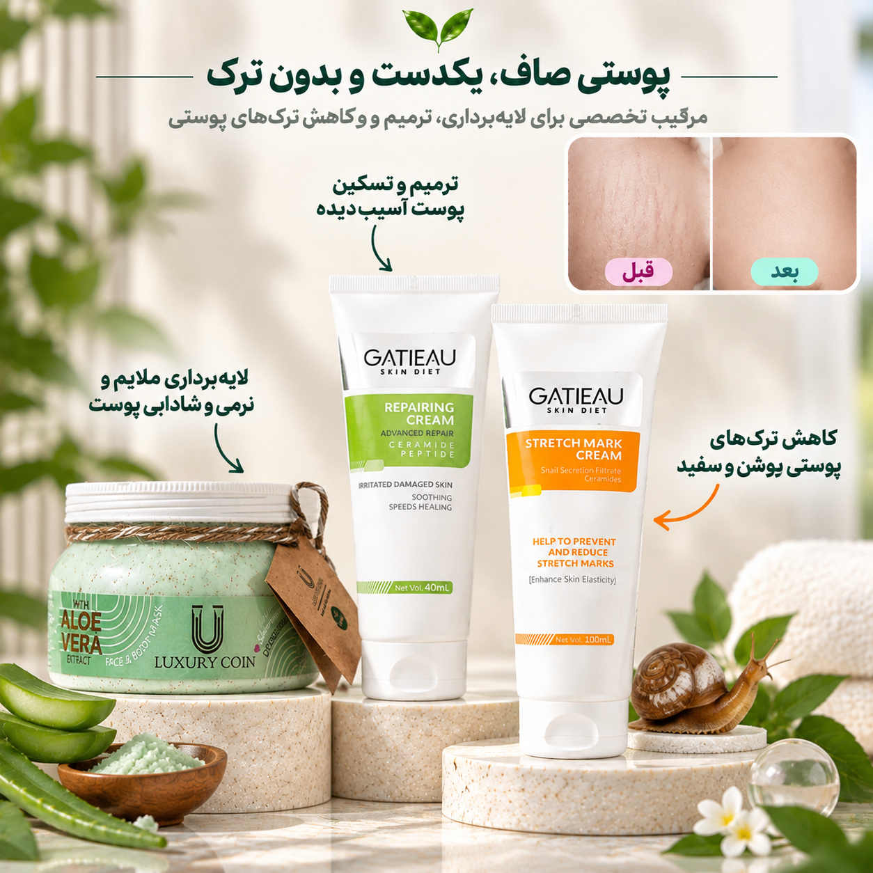 پک ترمیم و لایه‌برداری ترک‌های روشن بدن